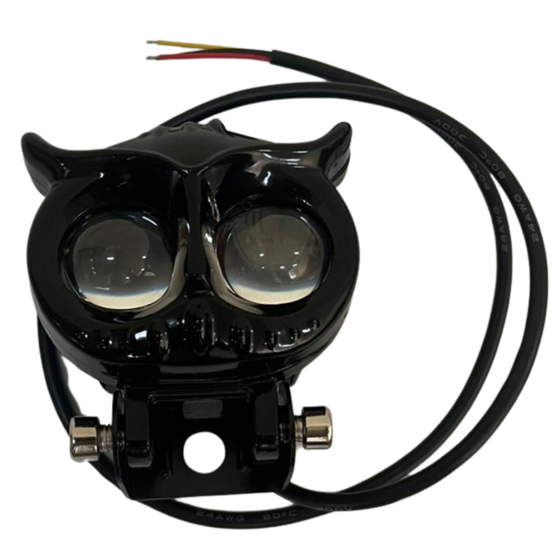 RL100340483 - LUZ LED BUHO DOBLE TONO