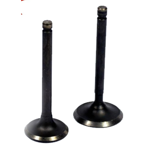 VALV007 - VALVULAS MOTOR GXT200