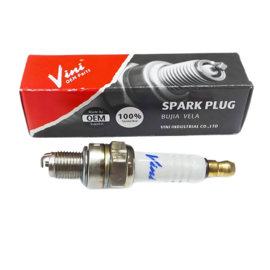 9905602879980 - BUJIA MOTOR VINI DR8EA