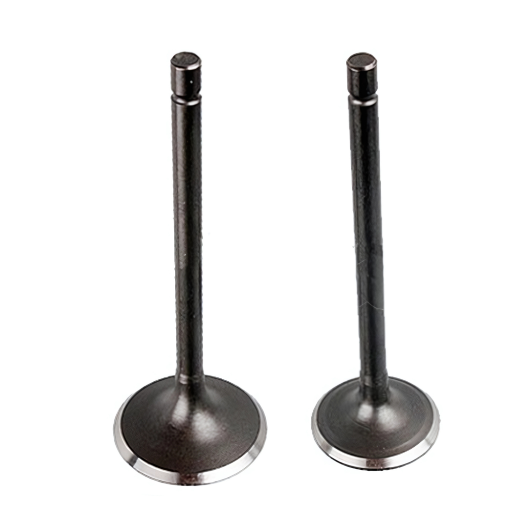 VALV004 - VALVULAS MOTOR CG200