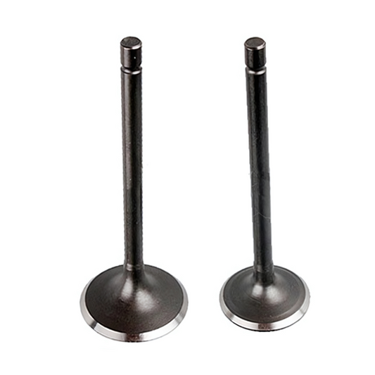 VALV004 - VALVULAS MOTOR CG200