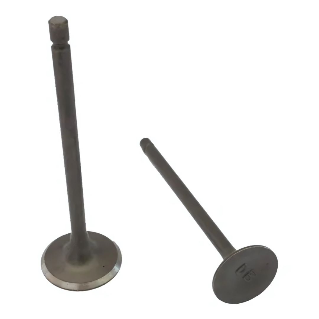 9956028038284 - VALVULAS MOTOR CG110