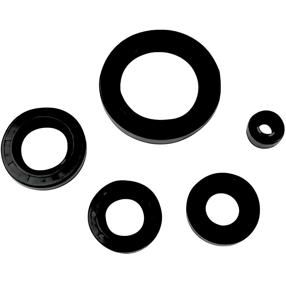 RETE002 - KIT SELLOS MOTOR CG150