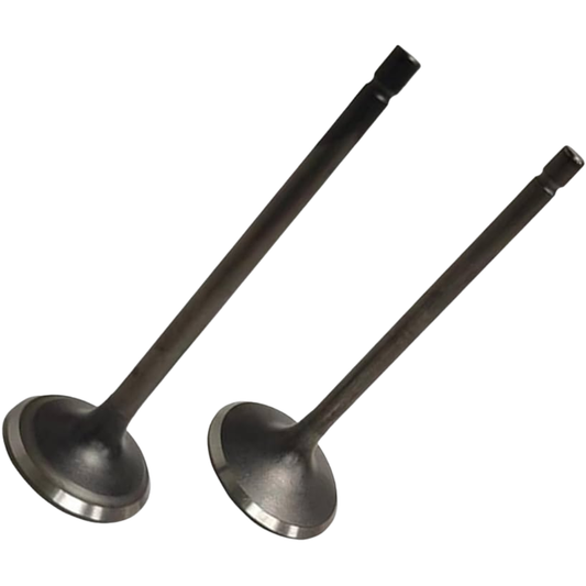 CG250004 - VALVULAS MOTOR CG250 