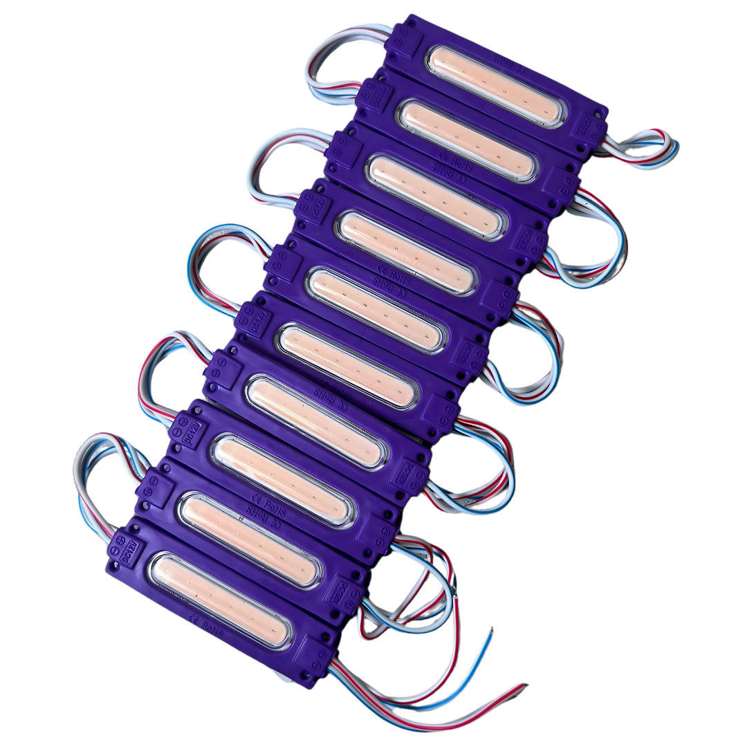 RL100340430MRD - MODULO LED MORADO 20PC
