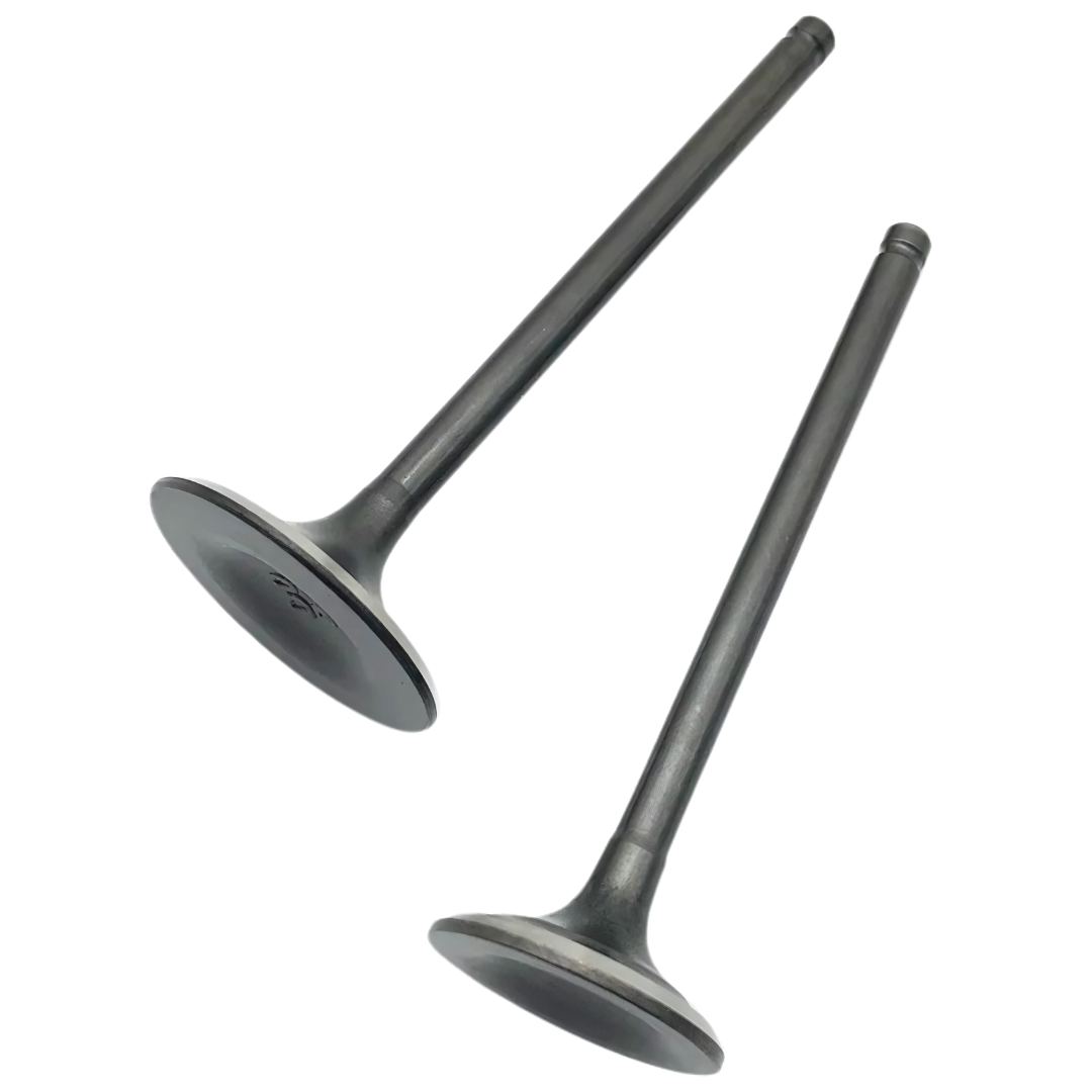 HS112250 - VALVULAS HONDA CBF150