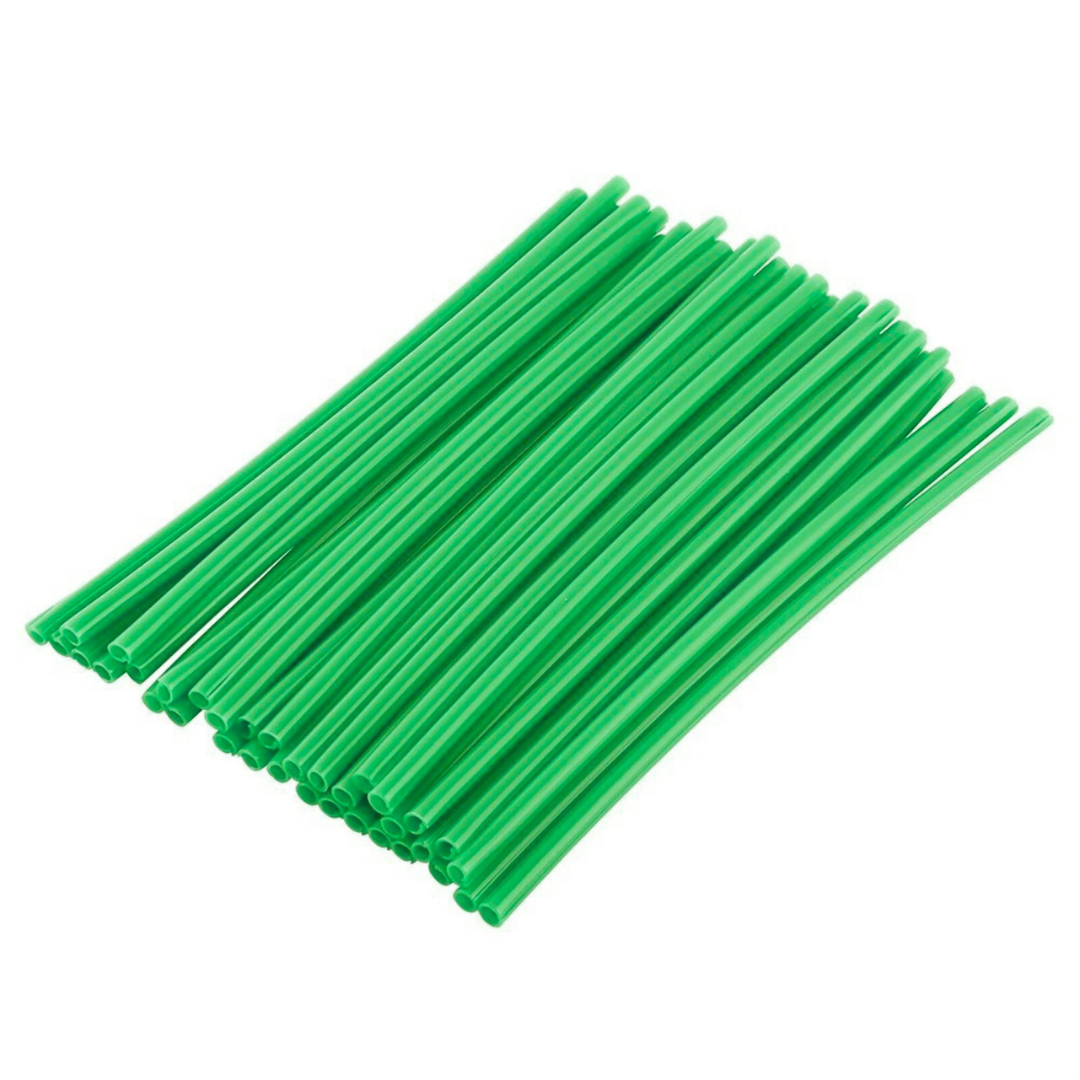 600441 - PAJILLA RAYO VERDE