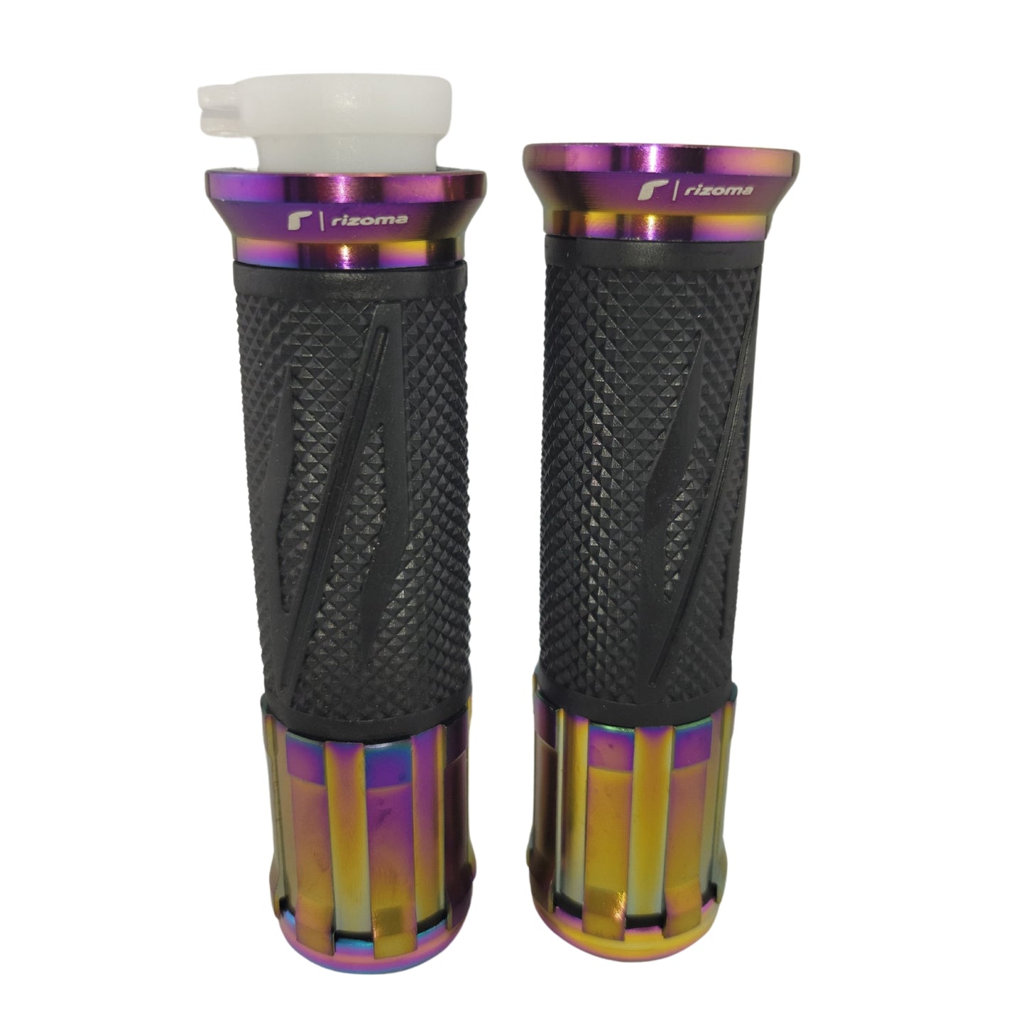 HULE036 - PEPES RIZOMA TORNASOL A003